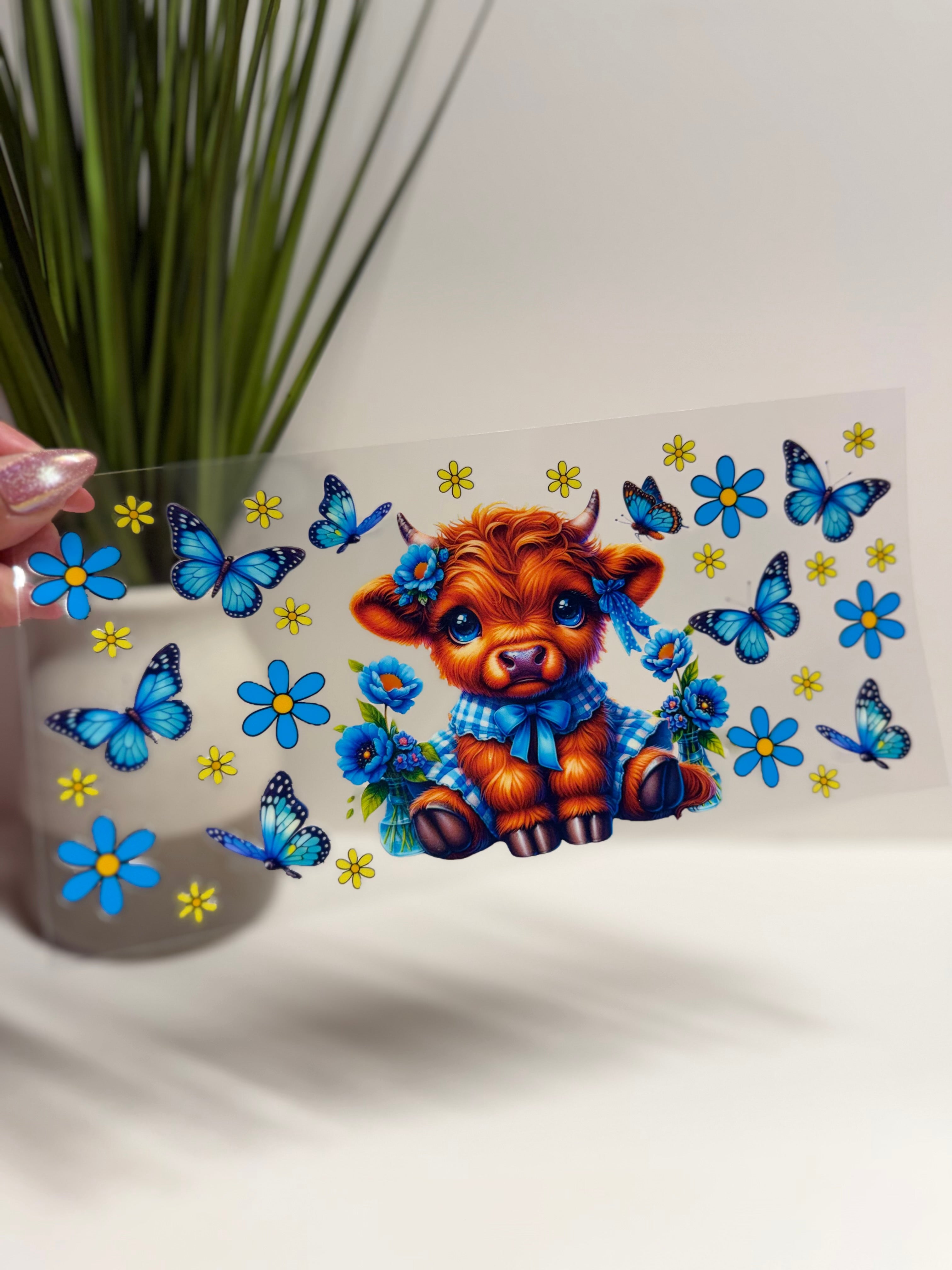 Highland Cow 04
