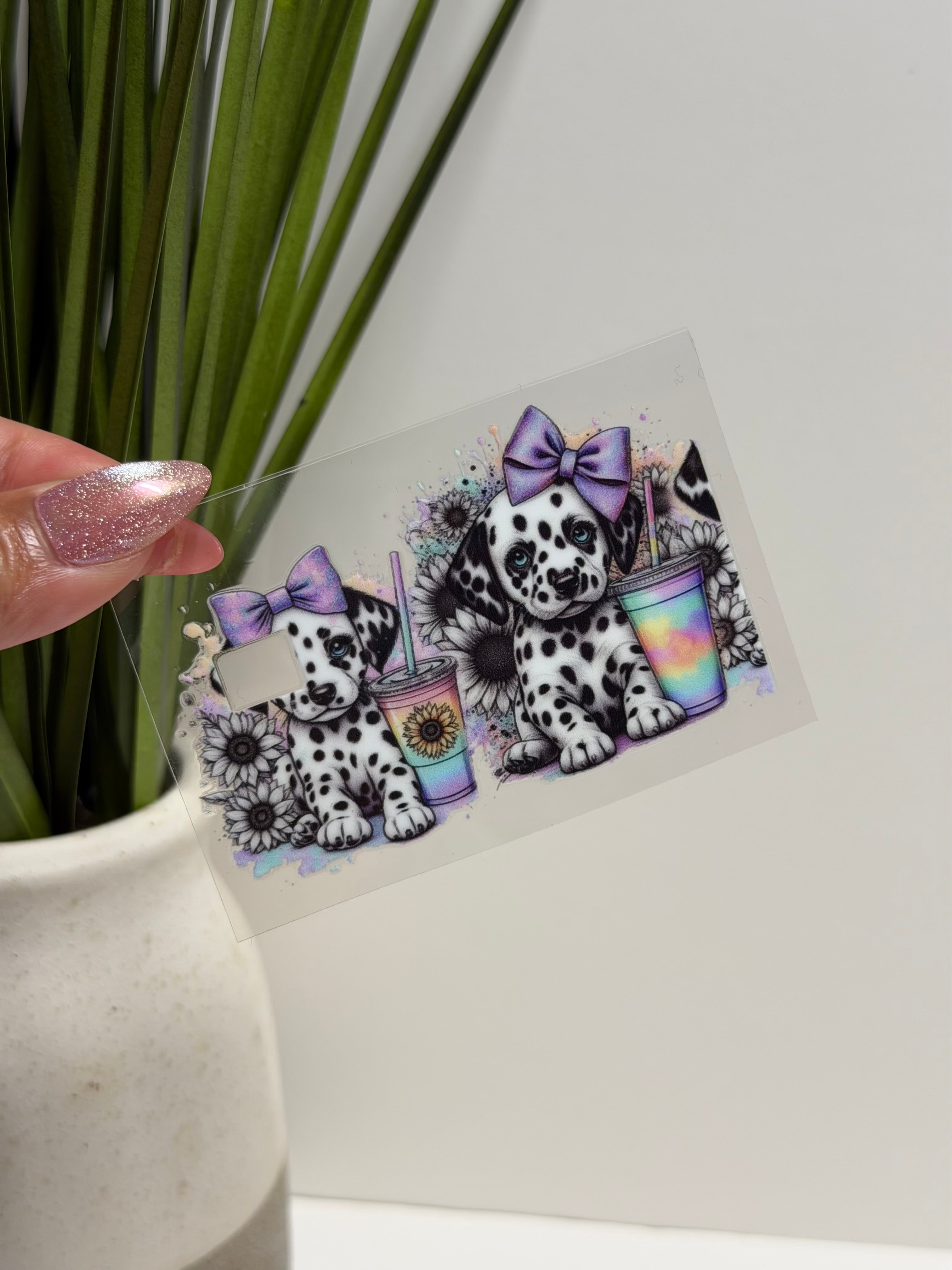 Credit Card Wrap 006